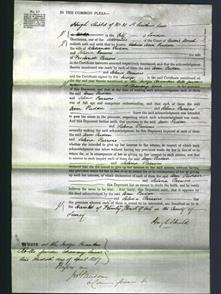 Court of Common Pleas - Ann Pudan and Selma Parsons-Original Ancestry