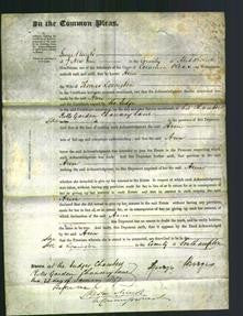 Court of Common Pleas - Ann Lowington-Original Ancestry