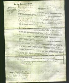 Court of Common Pleas - Mary Goldney-Original Ancestry