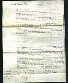 Court of Common Pleas - Mary Ann Gill-Original Ancestry