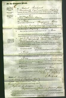 Court of Common Pleas - Ann Owen-Original Ancestry