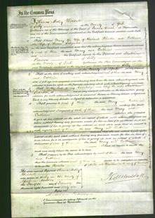 Court of Common Pleas - Mary Rheeder and Catherine Sedgwick-Original Ancestry