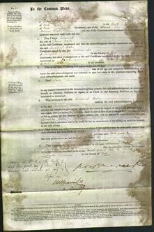 Court of Common Pleas - Susannah Baker-Original Ancestry