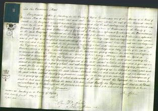 Court of Common Pleas - Sarah Fussell and Caroline Nelson-Original Ancestry