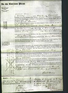 Court of Common Pleas - Mary Whieldon-Original Ancestry