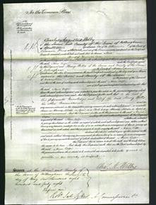 Court of Common Pleas - Ann Cope-Original Ancestry