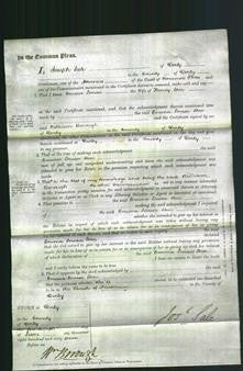 Court of Common Pleas - Emma Louisa Steer-Original Ancestry