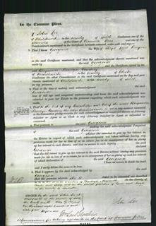 Court of Common Pleas - Georgina Kenyon-Original Ancestry