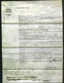 Court of Common Pleas - Mary Whipp-Original Ancestry