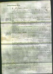 Court of Common Pleas - Maria Olive Hunt-Original Ancestry