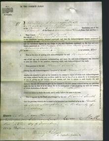 Court of Common Pleas - Harriet Smith-Original Ancestry