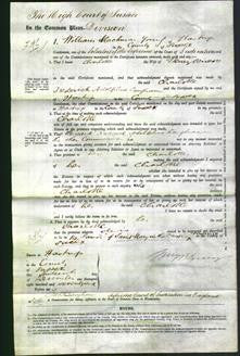 Court of Common Pleas - Charlotte Veness-Original Ancestry