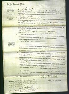 Court of Common Pleas - Esther Rhodes-Original Ancestry