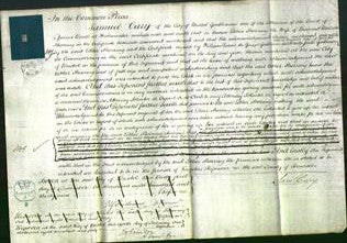 Court of Common Pleas - Esther Sherring-Original Ancestry