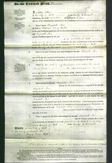 Court of Common Pleas - Elizabeth Ann Barton-Original Ancestry