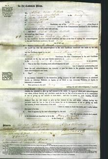 Court of Common Pleas - Mary Ashe-Original Ancestry