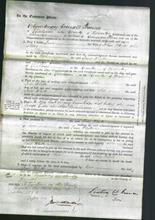 Court of Common Pleas - Jane White-Original Ancestry