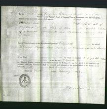 Appointment of Special Commissioners - Jewitt, John Le Proctor the younger and J. Hiram Worthington-Original Ancestry
