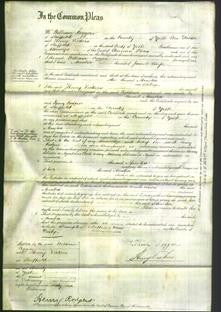 Court of Common Pleas - Amelia Coupe-Original Ancestry