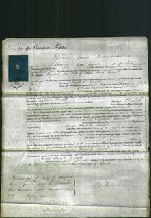 Court of Common Pleas - Elizabeth Connell-Original Ancestry