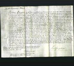 Court of Common Pleas - Mary Parry-Original Ancestry