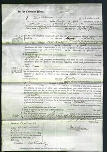 Court of Common Pleas - Hester Green-Original Ancestry