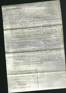 Court of Common Pleas - Elizabeth Rolf-Original Ancestry