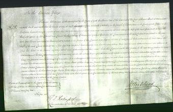 Court of Common Pleas - Mary Mettrick-Original Ancestry