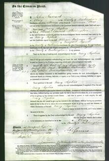 Court of Common Pleas - Mary Sophia Skevington-Original Ancestry