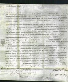 Court of Common Pleas - Maria Leigh-Original Ancestry