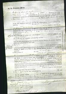 Court of Common Pleas - Jane Fishlake-Original Ancestry