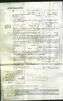 Court of Common Pleas - Alice Furness-Original Ancestry