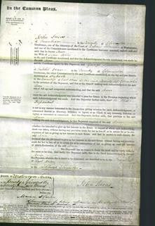 Court of Common Pleas - Ann Wilce-Original Ancestry