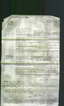 Court of Common Pleas - Mary Manning-Original Ancestry