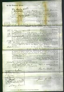 Court of Common Pleas - Sophia Hawkins-Original Ancestry