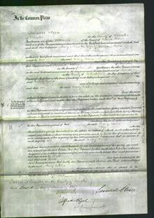 Court of Common Pleas - Mary Miles-Original Ancestry