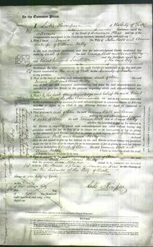 Court of Common Pleas - Emma Bell and Annie Kelly-Original Ancestry