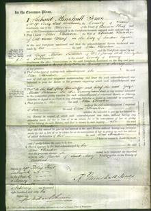 Court of Common Pleas - Ellen Thornton-Original Ancestry