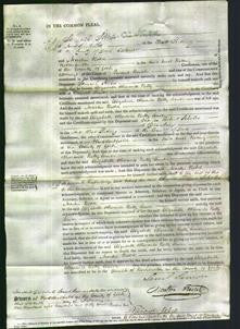 Court of Common Pleas - Elizabeth Betty Senior-Original Ancestry