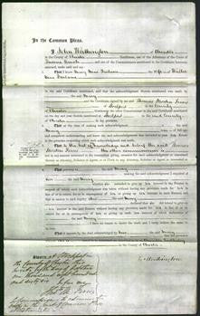 Court of Common Pleas - Mary Mac Farlane-Original Ancestry