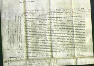 Court of Common Pleas - Mary Henthorn, Letitia Gosling and Betty Buckley-Original Ancestry