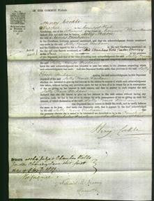 Court of Common Pleas - Sally Pearse Denham-Original Ancestry