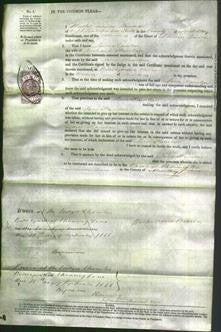 Court of Common Pleas - Jane Hamlin-Original Ancestry