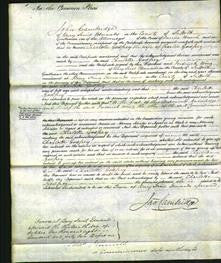 Court of Common Pleas - Charlotte Godfrey-Original Ancestry
