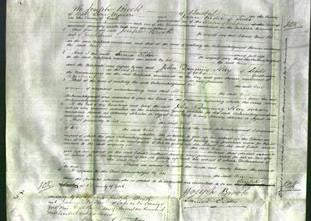 Court of Common Pleas - Ann Senior-Original Ancestry