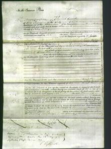 Court of Common Pleas - Hannah Kelsey-Original Ancestry