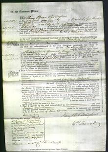 Court of Common Pleas - Caroline Bolwell-Original Ancestry