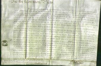 Court of Common Pleas - Mary Wylde-Original Ancestry