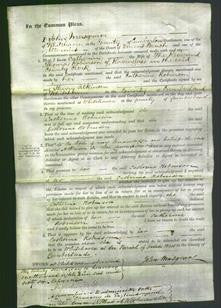 Court of Common Pleas - Catherine Robinson-Original Ancestry
