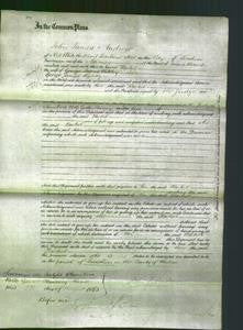 Court of Common Pleas - Rachel Kightly